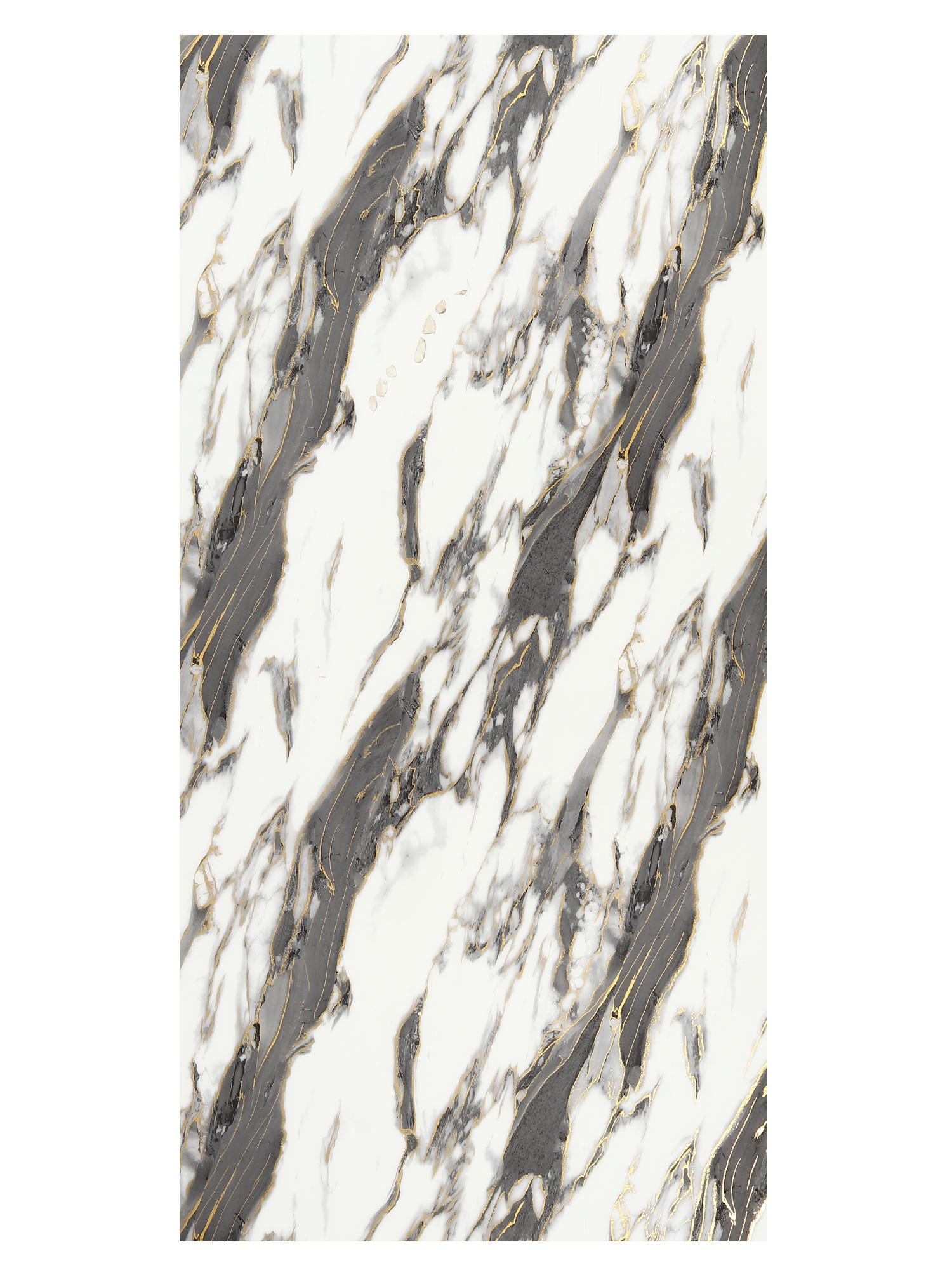 Main Product Feature Image